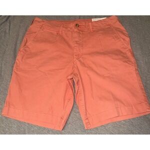 American Eagle outfitters Men's coral shorts size 34 next level classic 10" knee